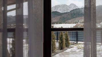 Comfort Apartment, Mountain View | Balcony view