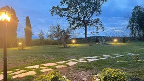 Ein Gartenpfad mit trittfesten Steinen, umgeben von Grünpflanzen und Bäumen.