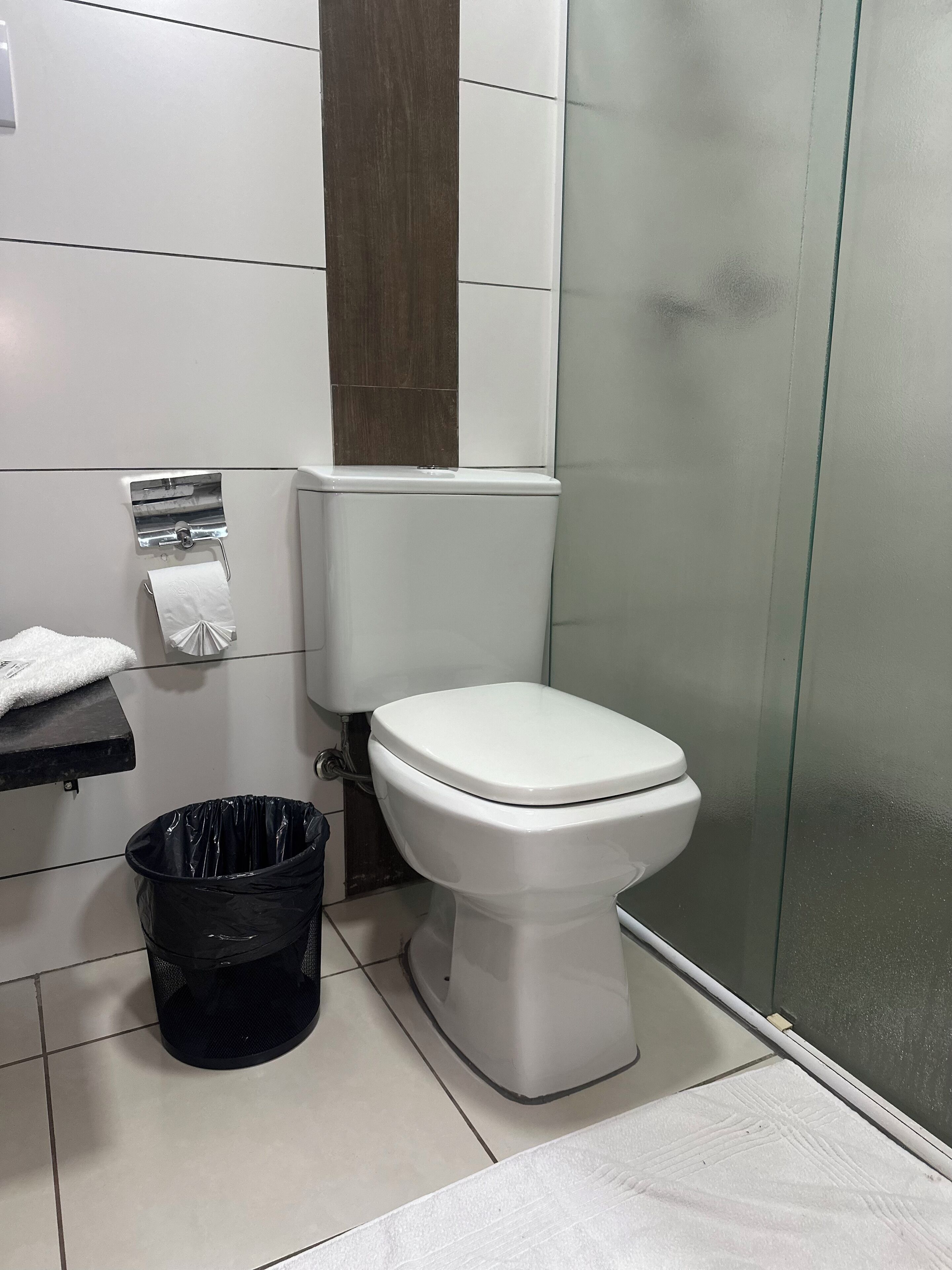 A bathroom with a toilet, a trash bin, a towel rack, and a glass shower enclosure.