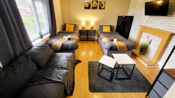 Une chambre d’hôtel moderne équipée d’un canapé, de deux lits, d’une télévision et d’une cheminée.
