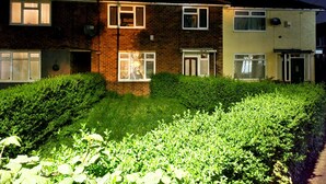 Un immeuble résidentiel à deux étages, avec une façade en briques et en crépi, de nombreuses fenêtres et un jardin bien entretenu.