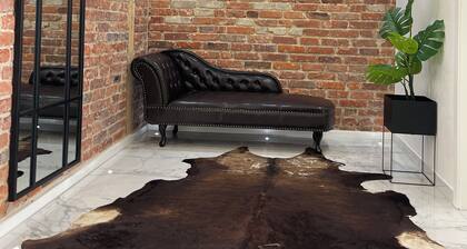 ADVENTURE LuxusApartment gelegen 1,6 km von Buderus Arena, ( Zentral Altstadt )