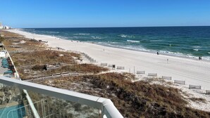 A beach with a clear view of the ocean, a sandy shoreline, and a pool area with umbrellas. - Gorgeous Upscale Remodel -LARGE 3 BEDROOM-Oceanfront Corner Condo - Dog Friendly (Orange Beach)