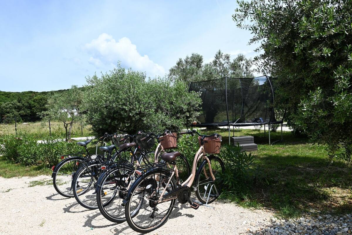 A gravel path with bicycles parked along it, surrounded by greenery and trees.