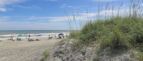 Playa