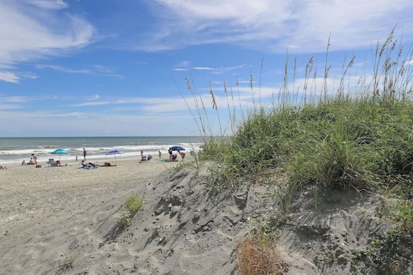 Playa