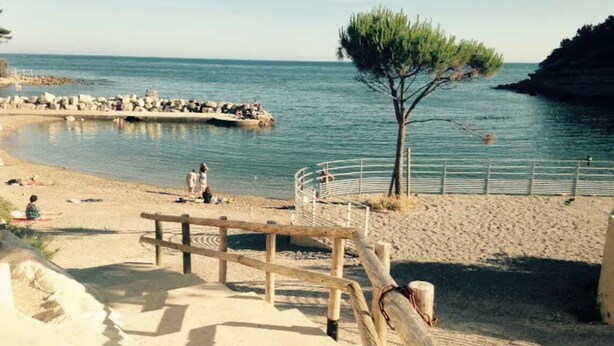 A beach with a wooden fence, a tree, and a rocky outcrop in the water. - Carry le Rouet - Relaxation and vacations with your feet in the water  (Carry-le-Rouet)