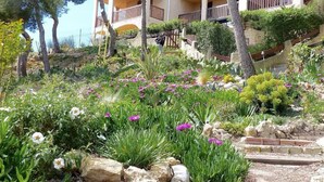A garden with various plants and flowers, a stone pathway, and a building with balconies in the background. - Carry le Rouet - Relaxation and vacations with your feet in the water  (Carry-le-Rouet)