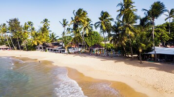 Una playa con palmeras, una orilla arenosa y varios edificios con techos de paja.