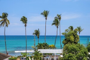 A coastal view with tall palm trees, a clear blue sky, and a building with a metal roof.