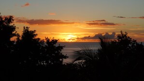 A sunset over the ocean with silhouettes of trees and palm fronds in the foreground.