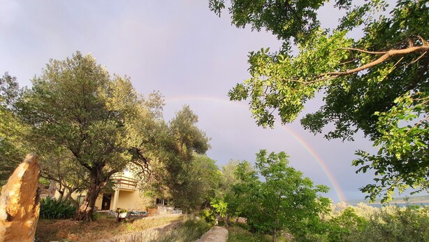 Ein Steinweg führt zu einem rustikalen Gebäude, umgeben von Bäumen, im Hintergrund ein Regenbogen.