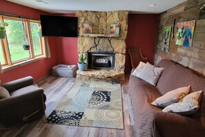 TV, fireplace, books