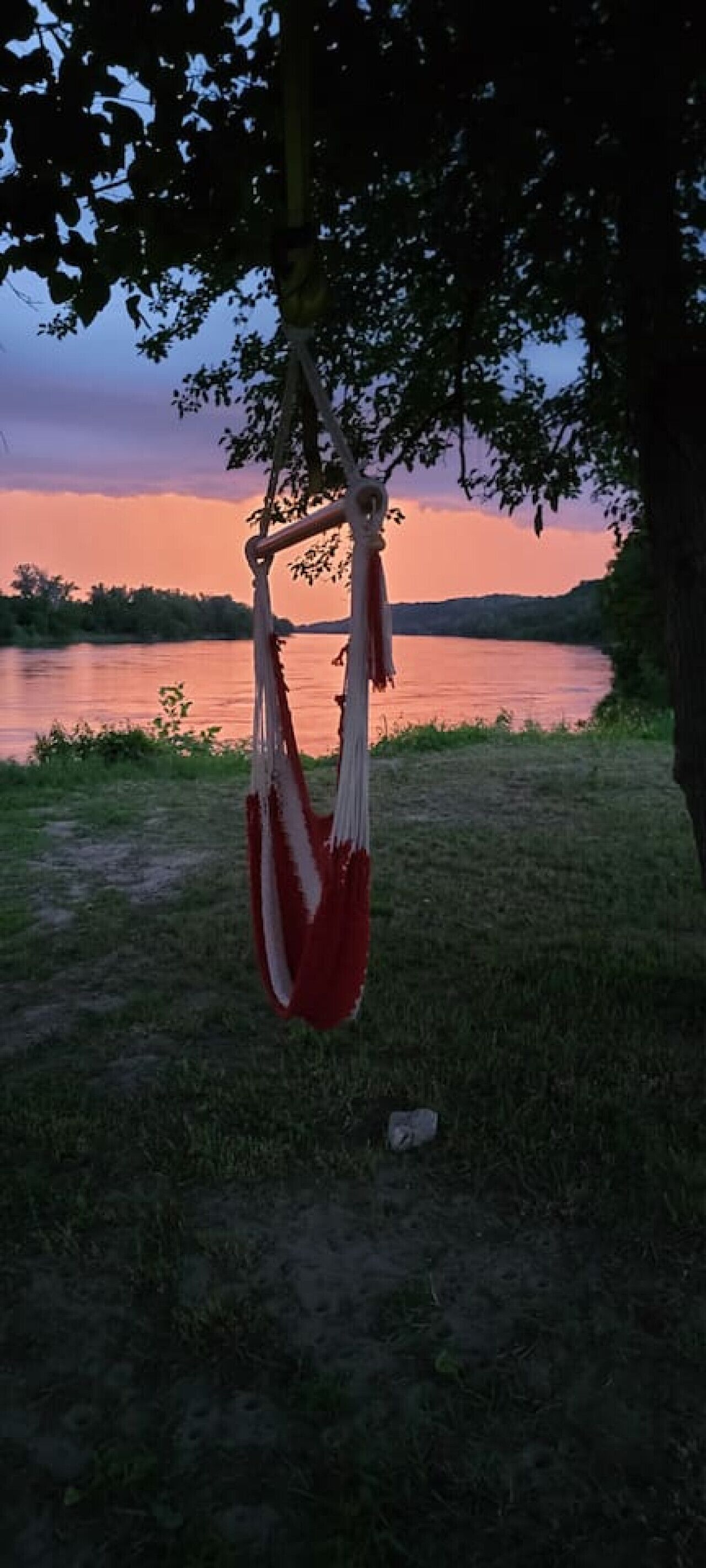 Una hamaca colgada de un árbol junto a un lago al atardecer.