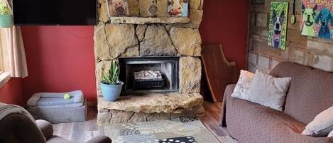 TV, fireplace, books
