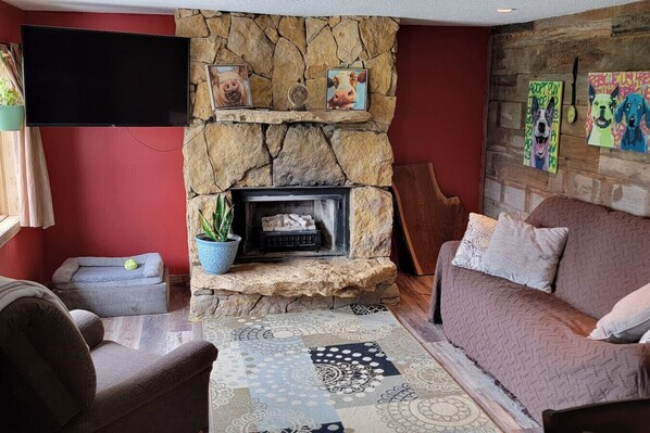 TV, fireplace, books