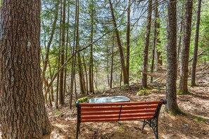 Property grounds - Tranquil View Cottage & Cabin, Pet Friendly with Wifi (Mount Desert)