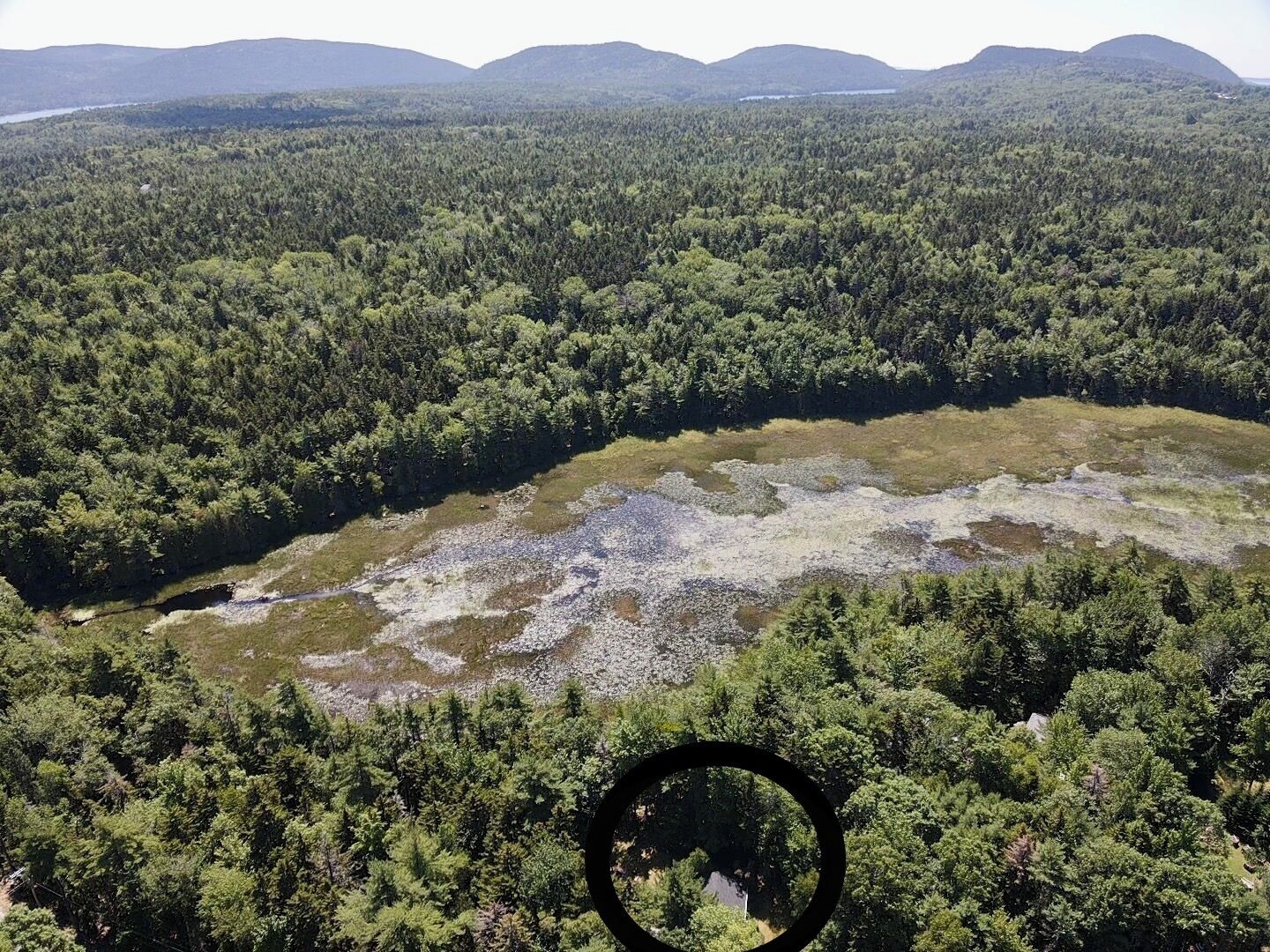 Un paysage boisé avec un lac et une petite île.