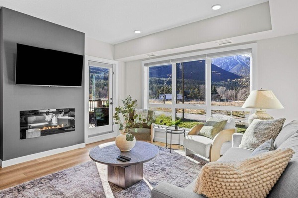 Smart TV, fireplace, books