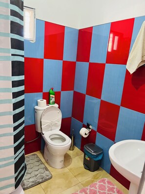 Hair dryer, towels, soap, toilet paper