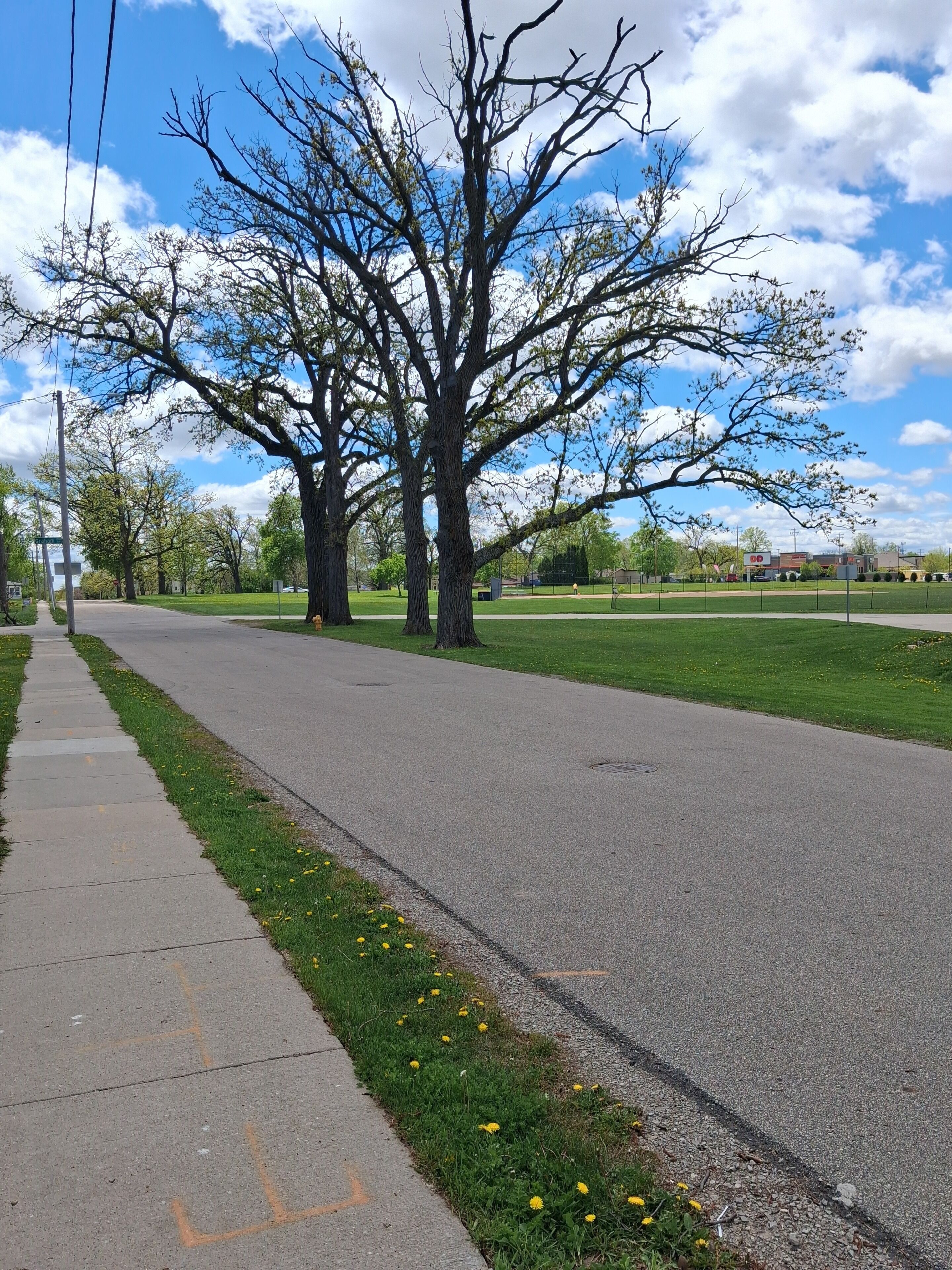 A paved road with a sidewalk, trees, and a grassy area.