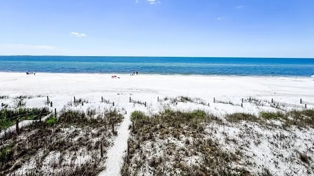 A beach with white sand and sparse vegetation, a clear blue sky, and the ocean in the background.