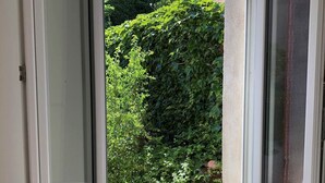 Una ventana con vista a un seto y un edificio al fondo.