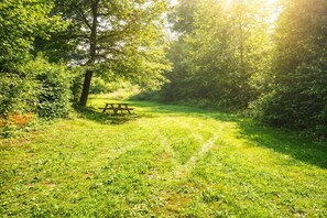 A picnic table in a grassy area surrounded by trees.