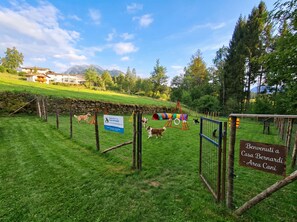 A fenced dog park with a sign indicating it's a Bernardi area.