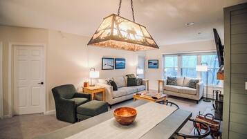 TV connectée, cheminée, livres