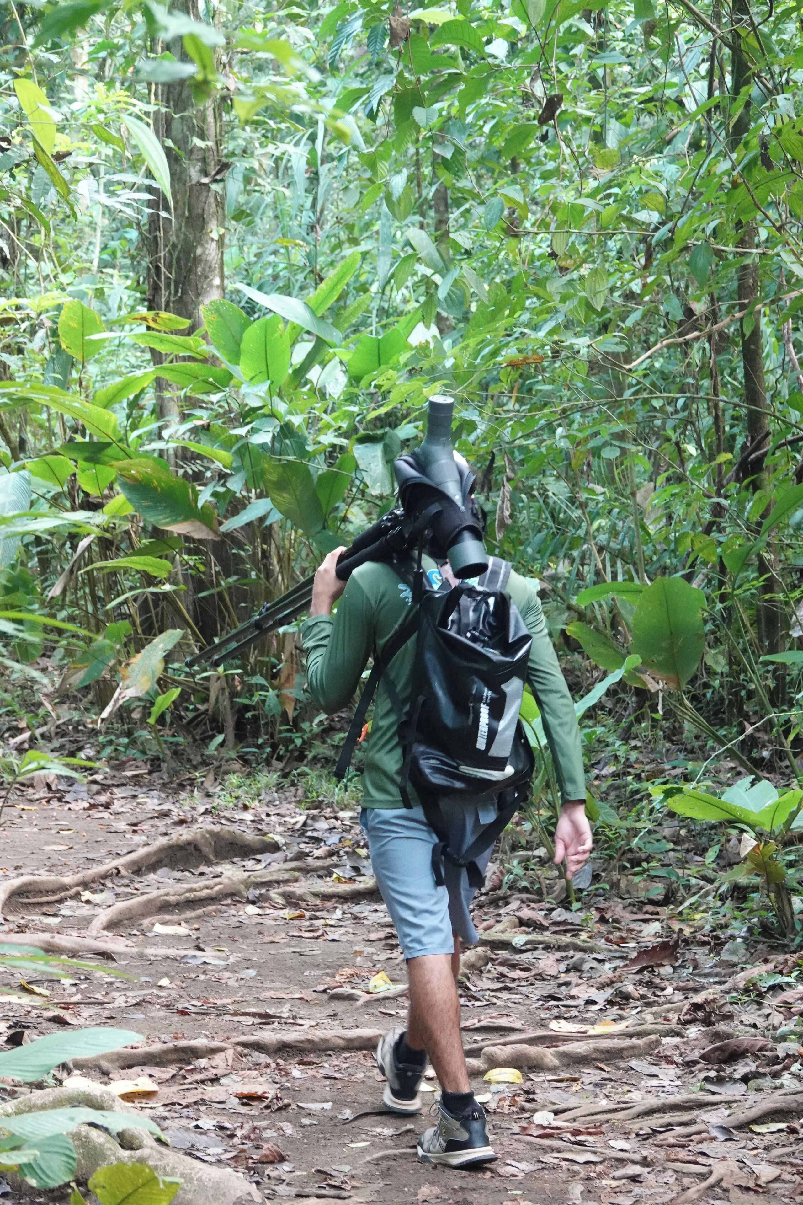 Una persona caminando por un bosque con una mochila y una cámara.