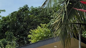 Un bâtiment moderne doté d’un toit plat et d’un grand parasol.