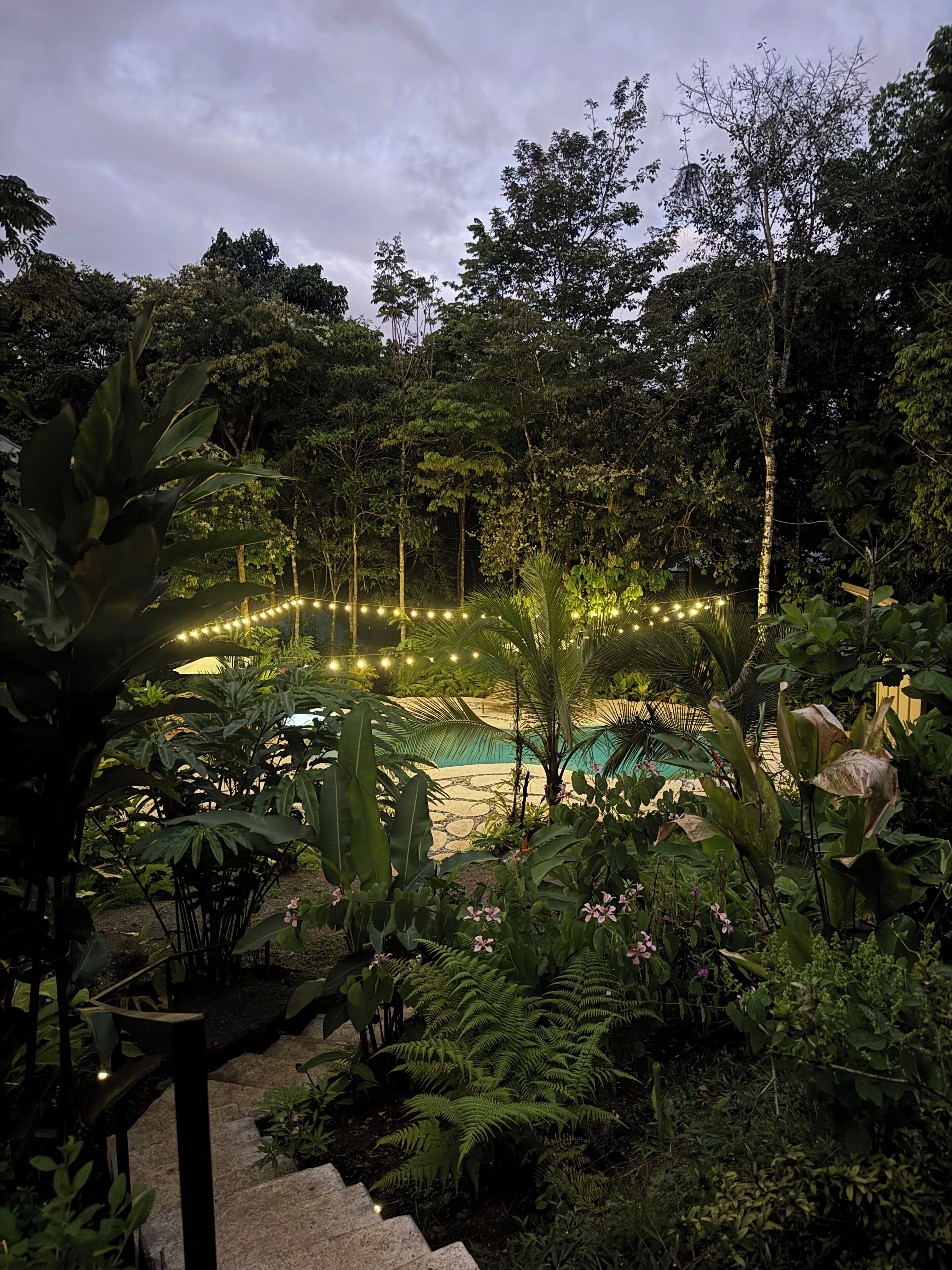 Un exuberante jardín con piscina, rodeado de follaje denso y luces colgantes.