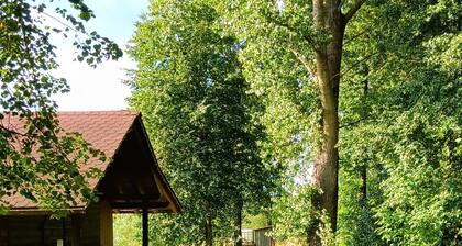 s`KĂ€nnele - barrier-free vacation apartment in the Odenwald