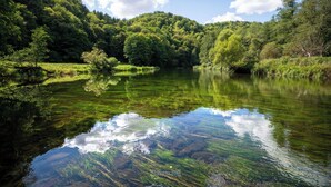 A serene lake surrounded by lush greenery and a forested hill. - Stadthotel Raabs an der Thaya (Raabs An Der Thaya)