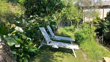 Parco della struttura