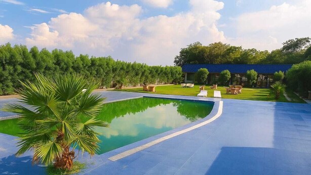 Ein Swimmingpool mit einer Palme, umgeben von einem gepflegten Rasen und einem Gebäude mit blauem Dach.