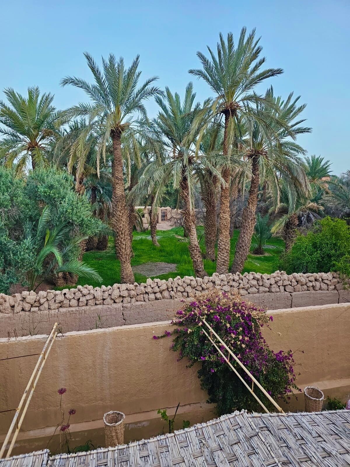 Parco della struttura