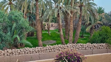 Parco della struttura