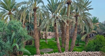 Serene Family Retreat: Your Private Oasis near Sahara Dunes