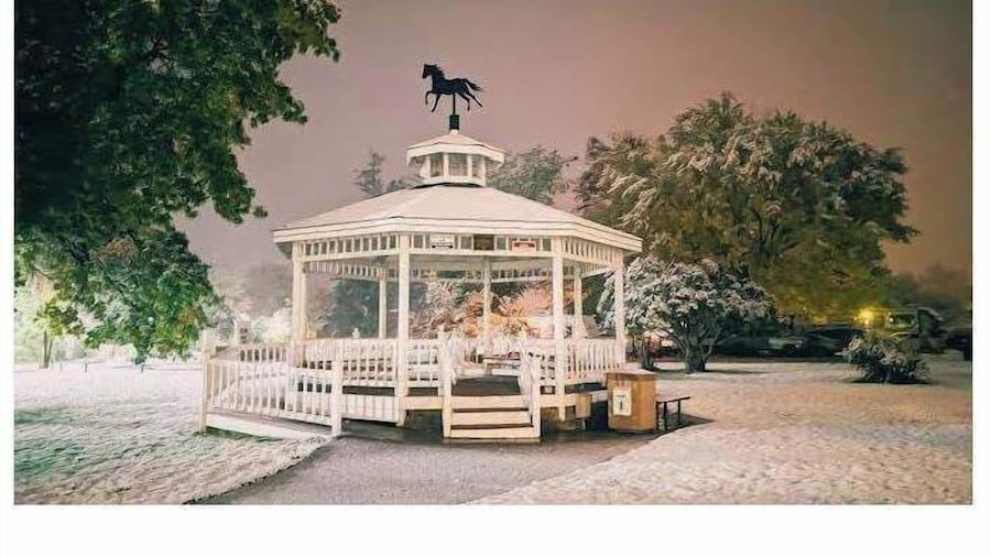 The Historic Union Hotel