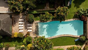 An aerial view of a swimming pool surrounded by a stone wall, with a lawn and palm trees.