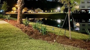 A nighttime view of a park with a pond, palm trees, and a building in the background.