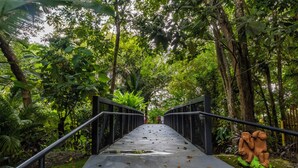 Un pont doté de garde-corps métalliques, entouré d’un feuillage verdoyant et luxuriant.