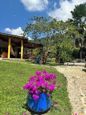 Property grounds - Spacious 5-bedroom estate in enchanting Antioquia, WiFi most preciously nature (Antioquia)