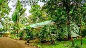 A bungalow with a green roof nestled among lush greenery, surrounded by a variety of tropical plants and trees. - Bustani Luxury Homestay (Moshi)