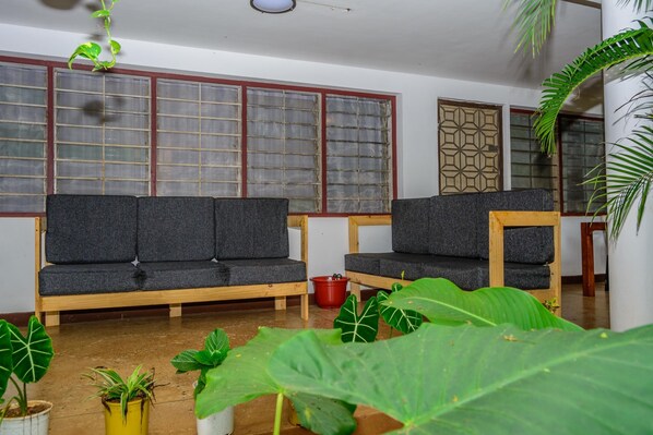 A room with a sofa, a chair, and potted plants. - Bustani Luxury Homestay (Moshi)