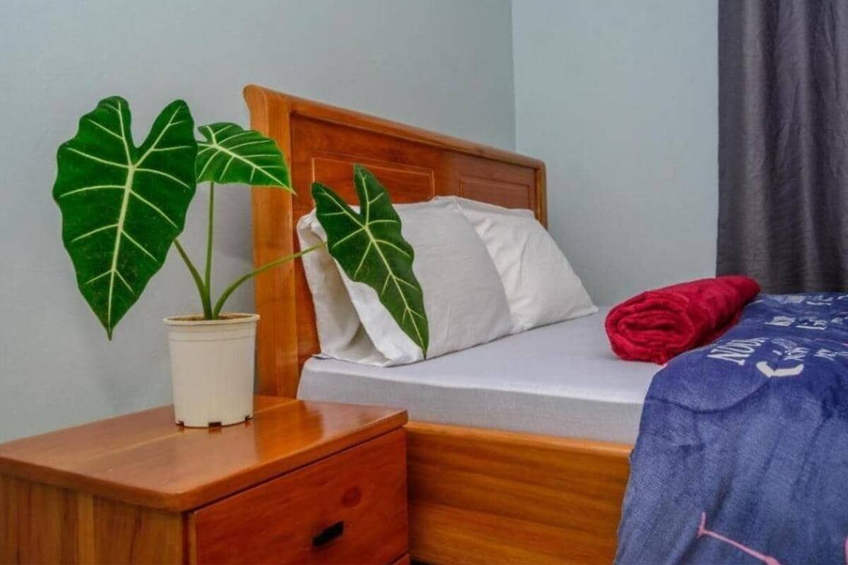 Une chambre avec une tête de lit en bois, un lit recouvert de draps blancs, une serviette rouge et deux grandes plantes vertes dans des pots blancs.