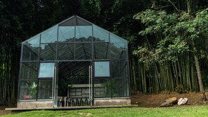 Snack bar - Boscana Forest Resort & Residence (Coscomatepec)