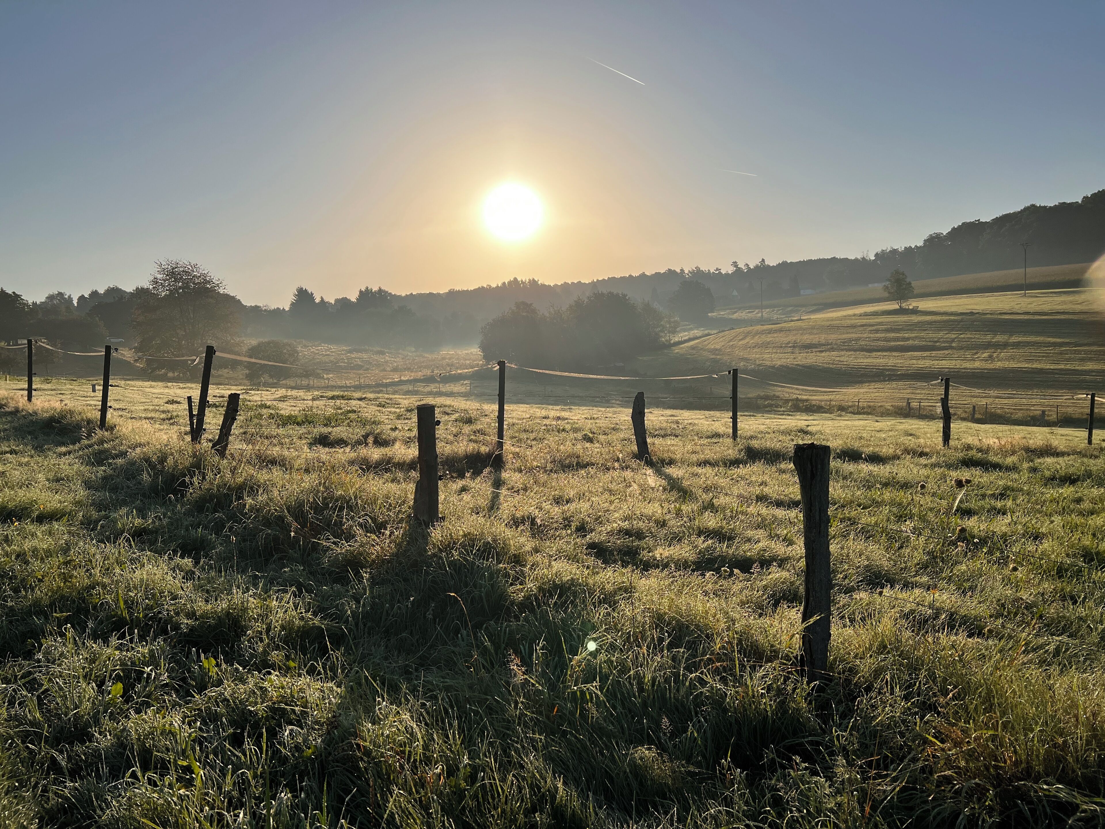A grassy field with a fence and a clear sky.